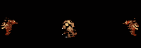 ani2.gif