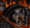 terplyr.gif
